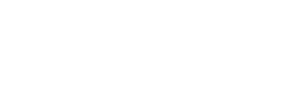 Bir Ali Logo